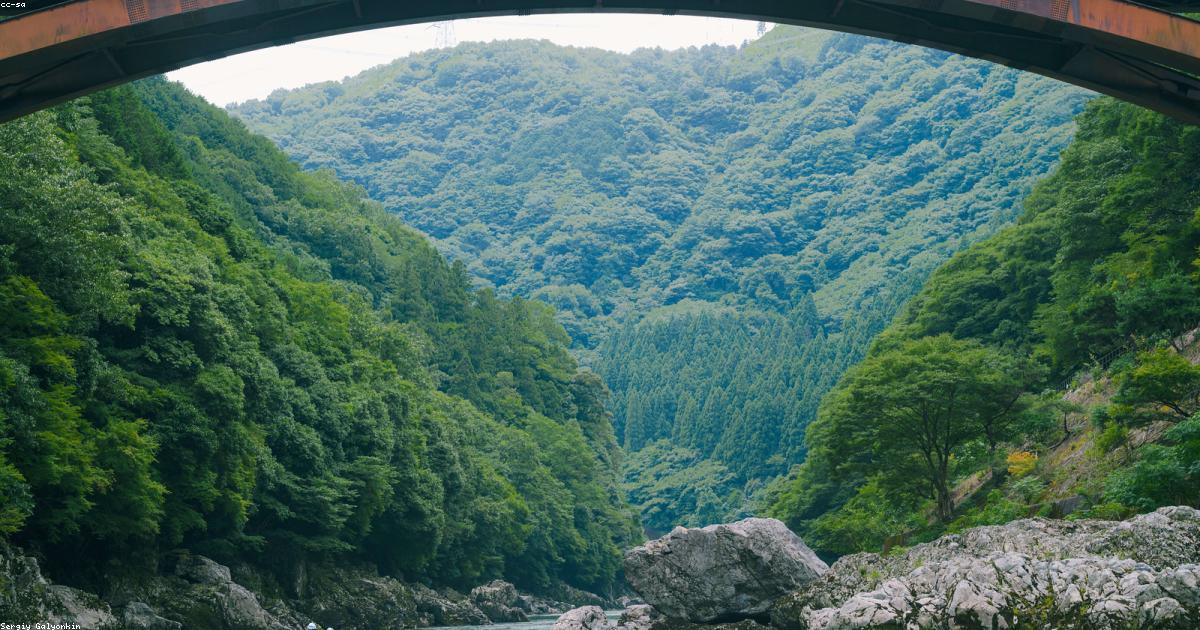 Jovens músicos brasileiros se apresentando com instrumentos de percussão, celebrando a diversidade dos ritmos afro-brasileiros em um festival vibrante.